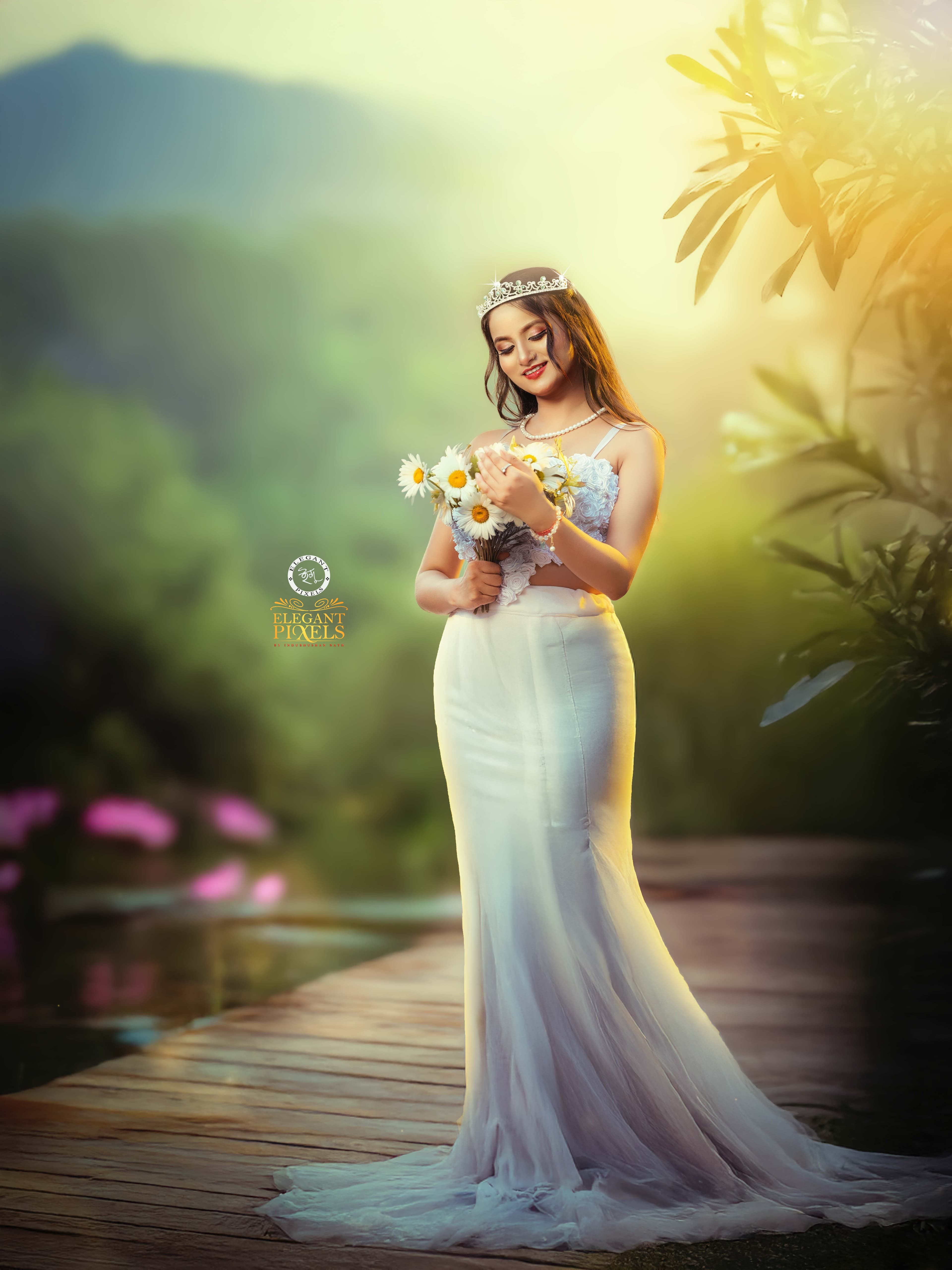 Elegant Story